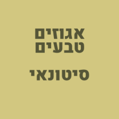 אגוזים טבעים - סיטונאי