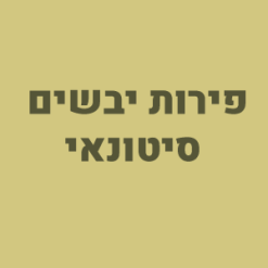 פירות יבשים - סיטונאי