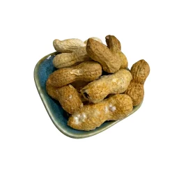 בוטן בקליפה קלוי